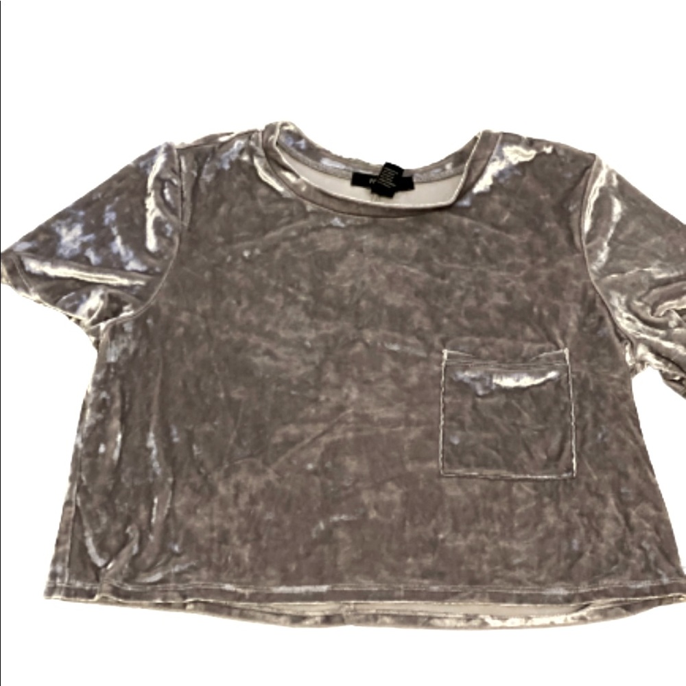 Silver Velvet Crop Top